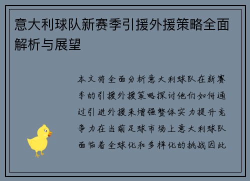 意大利球队新赛季引援外援策略全面解析与展望