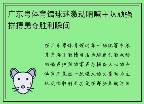 广东粤体育馆球迷激动呐喊主队顽强拼搏勇夺胜利瞬间