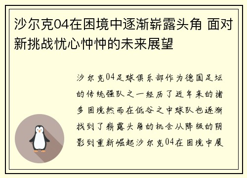 沙尔克04在困境中逐渐崭露头角 面对新挑战忧心忡忡的未来展望