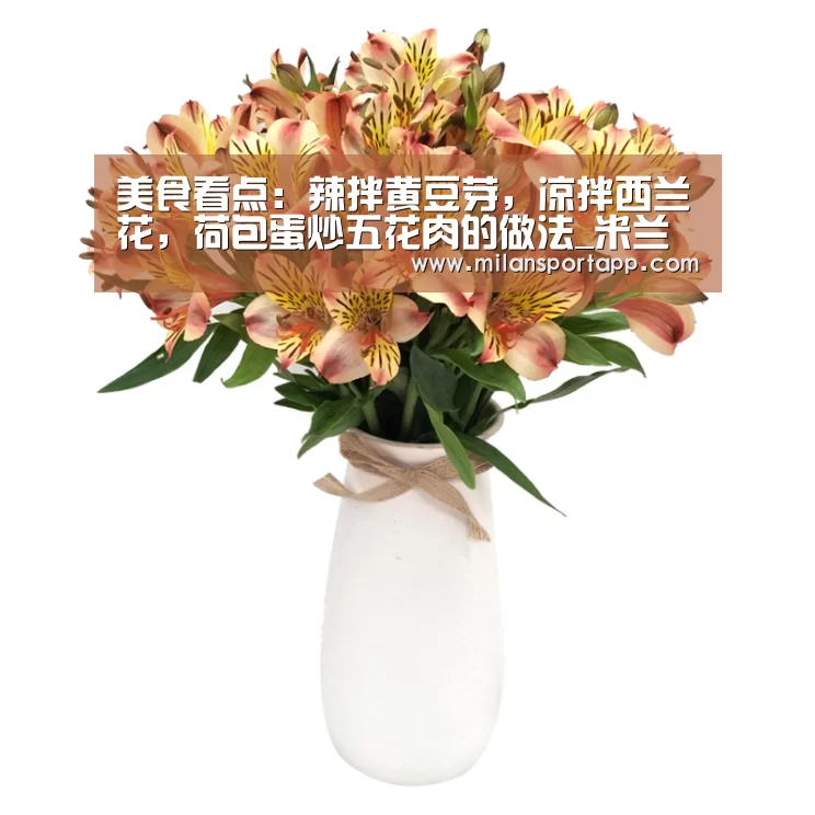 米兰体育app下载安装