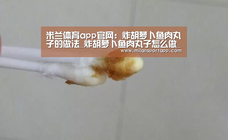 米兰体育app官网:炸胡萝卜鱼肉丸子的做法_炸胡萝卜鱼肉丸子怎么做_水青青的菜谱(图1) 米兰体育app下载安装