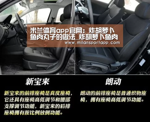 米兰体育app官网:炸胡萝卜鱼肉丸子的做法_炸胡萝卜鱼肉丸子怎么做_水青青的菜谱(图3) 米兰体育app官网