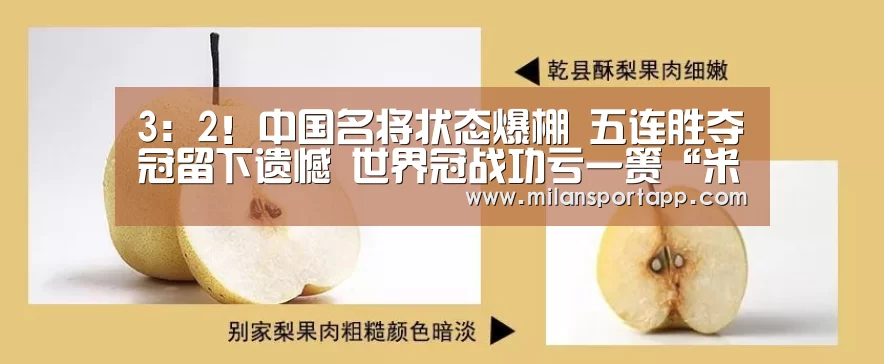 3:2!中国名将状态爆棚 五连胜夺冠留下遗憾 世界冠战功亏一篑“米兰体育app官网”(图1) 米兰体育app下载