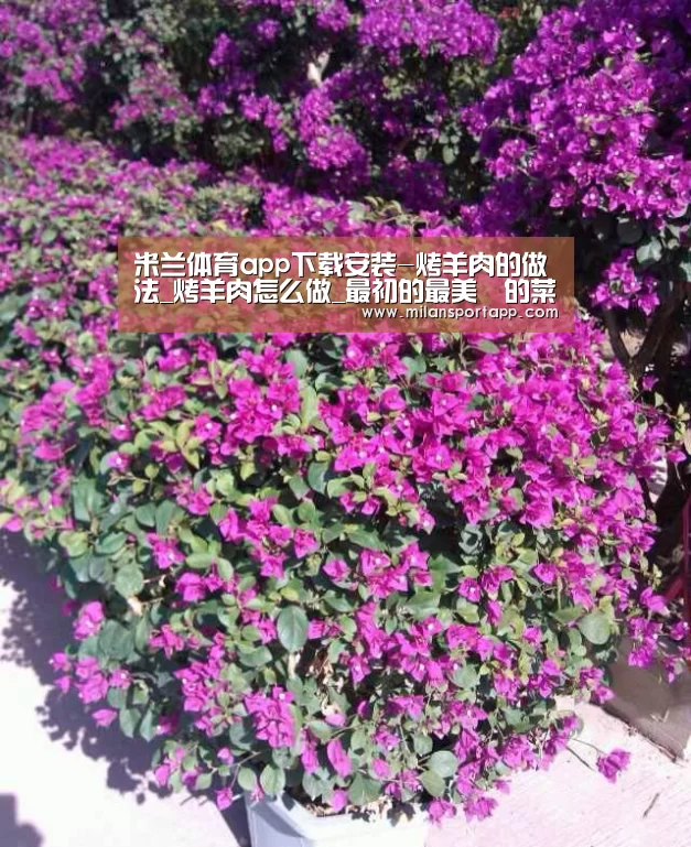 米兰体育app网址