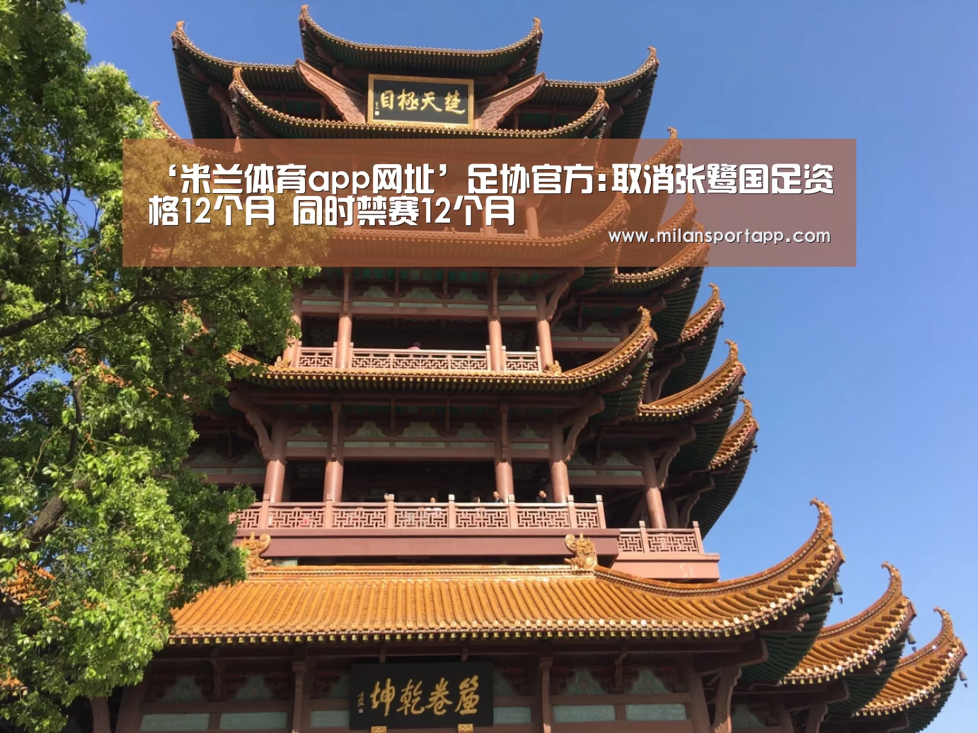 ‘米兰体育app网址’足协官方:取消张鹭国足资格12个月 同时禁赛12个月(图1) 米兰体育app下载