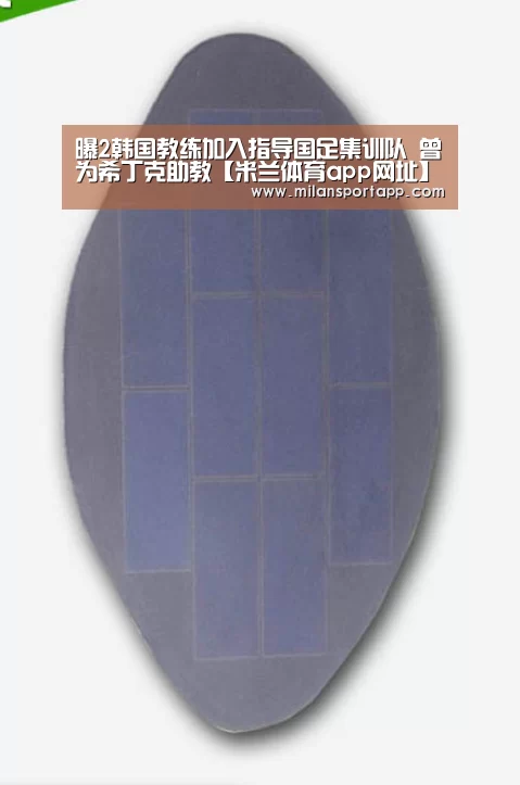 曝2韩国教练加入指导国足集训队 曾为希丁克助教【米兰体育ap