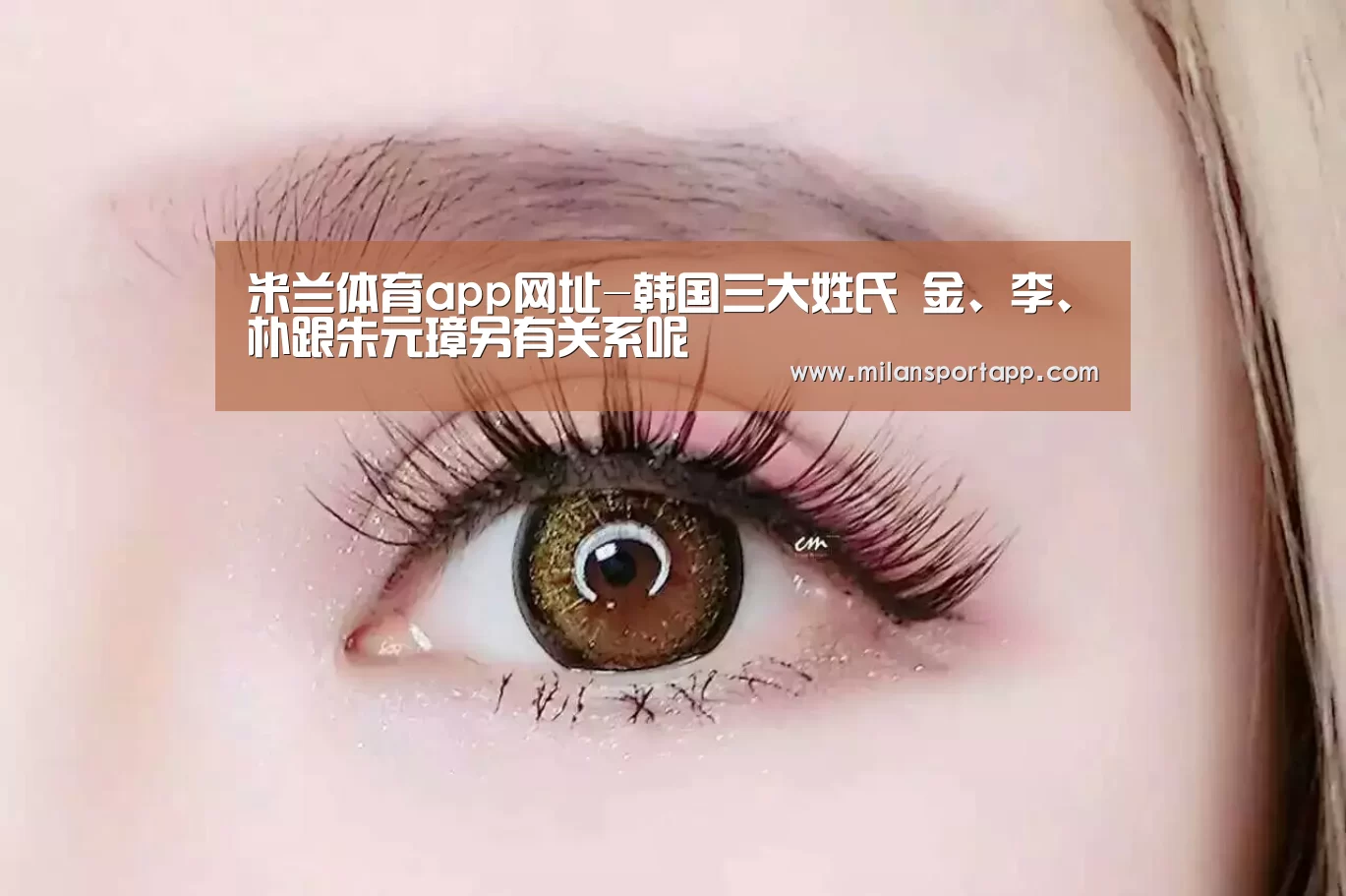 米兰体育app网址-韩国三大姓氏 金、李、朴跟朱元璋另有关系呢(图1) 米兰体育app官网