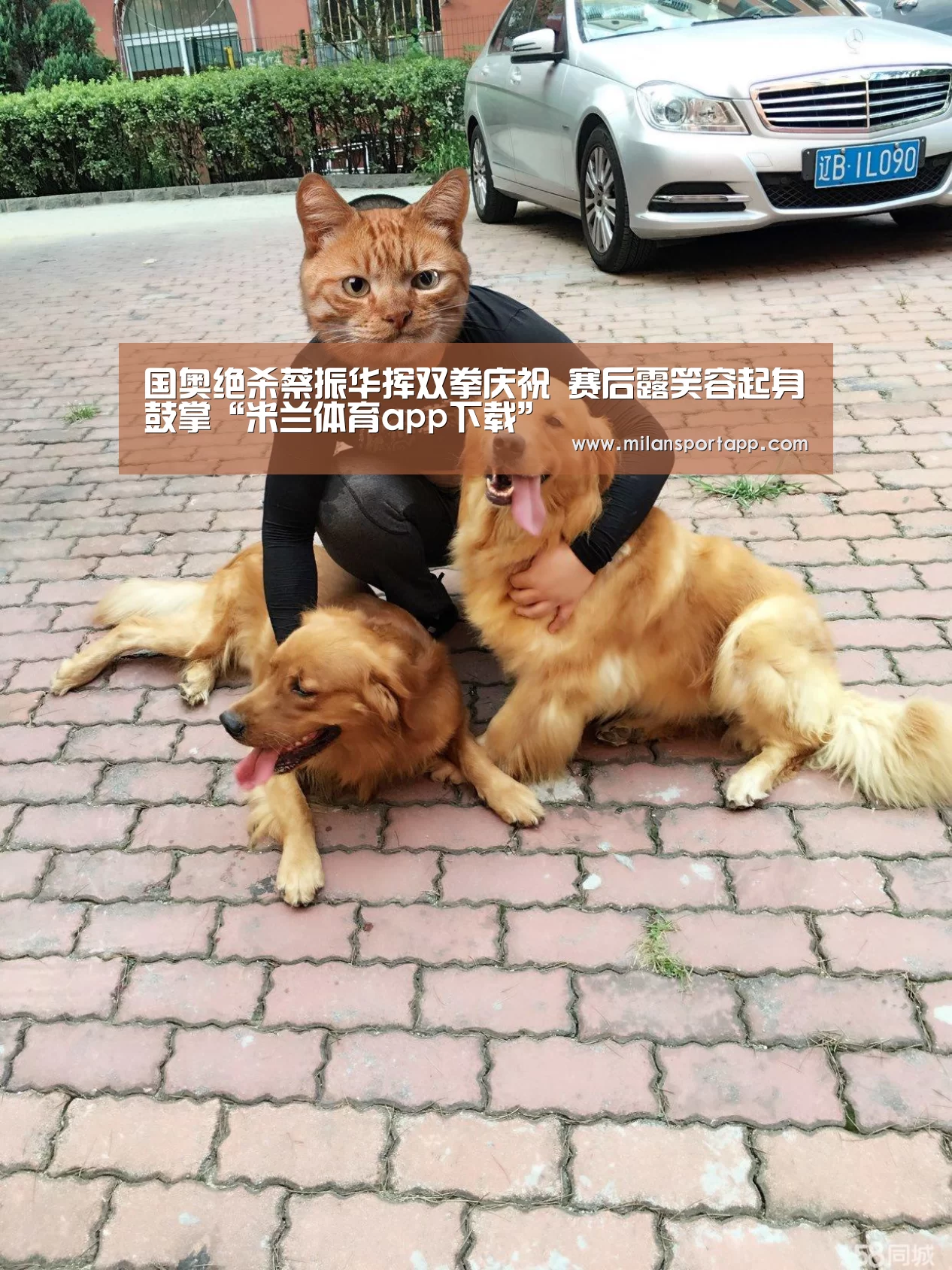 国奥绝杀蔡振华挥双拳庆祝 赛后露笑容起身鼓掌“米兰体育app下载”(图2) 米兰体育app网址
