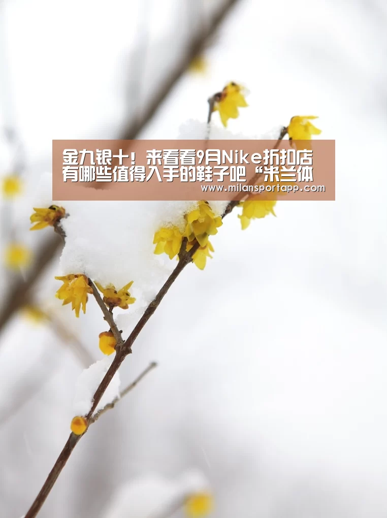 金九银十!来看看9月Nike折扣店有哪些值得入手的鞋子吧“米兰体育app网址”(图1) 米兰体育app下载