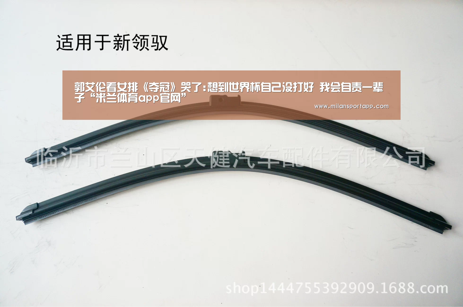 郭艾伦看女排《夺冠》哭了:想到世界杯自己没打好 我会自责一辈子“米兰体育app官网”(图2) 米兰体育app网址
